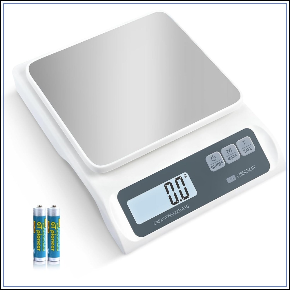13lb/0.1g Precision Digital Fo – Kitchen Scale Precise recenzja i cena