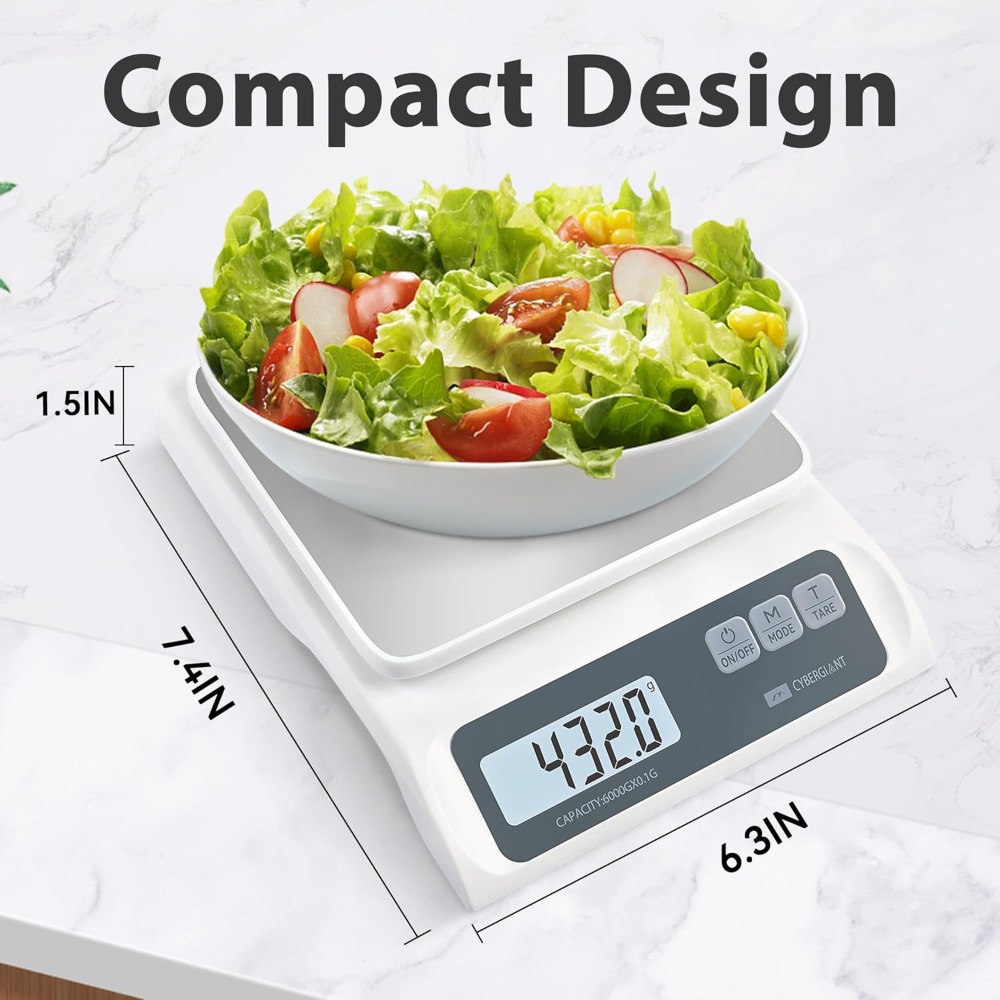 13lb/0.1g Precision Digital Fo – Kitchen Scale Precise recenzja i cena